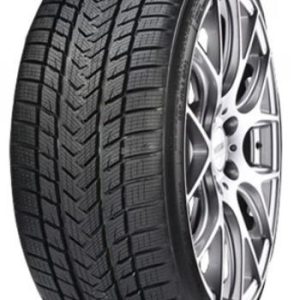 245/35R21 96V PRO WINTER XL